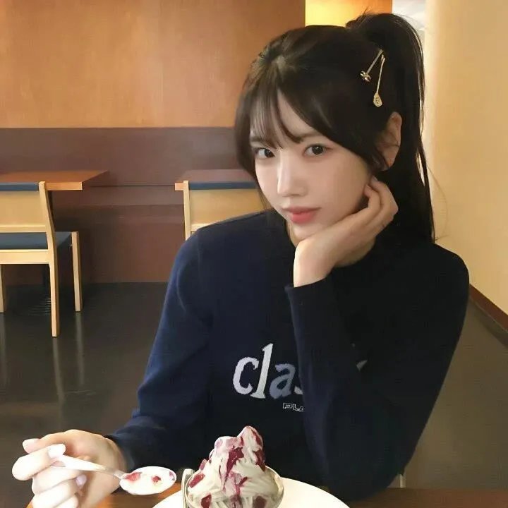 机智的公主殿下